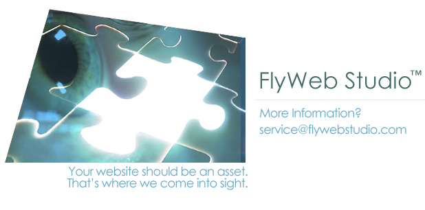 FlyWeb Web Design Studio